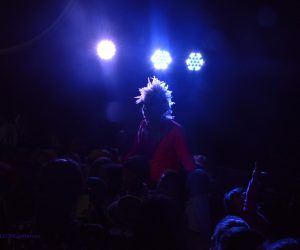la-selva-de-los-suenos-teatro-arlecchini4
